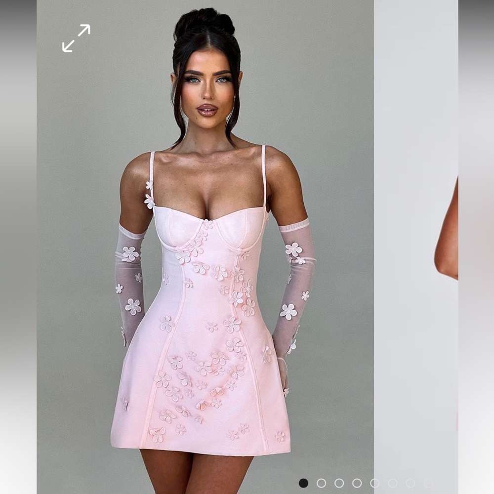 BLUSH MINI DRESS; Daint/feminine/sexy